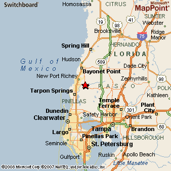 Seven Springs, Florida Area Map & More