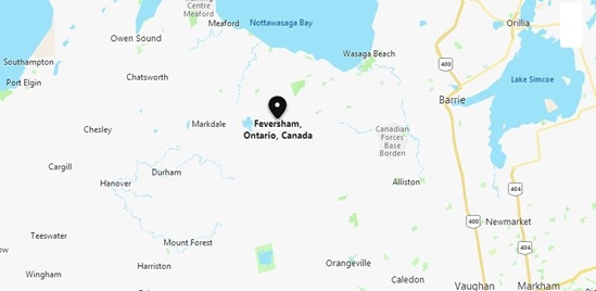 Feversham, Ontario Area Map & More